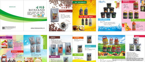 融合科技與美學(xué) 食品畫冊(cè)設(shè)計(jì)與定制化軟件開(kāi)發(fā)的雙重創(chuàng)新