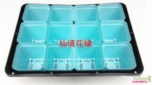 芽菜盆與育苗盤選購全攻略 最新產品參考與實用指南