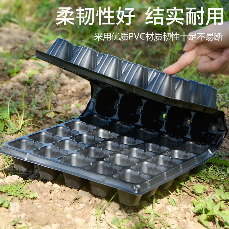 厚積薄發，21孔育苗盤的守護之道 —— 一顆種子的專業起點