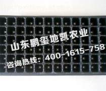 育苗盤 從實用工具到農業美學的綠色革命